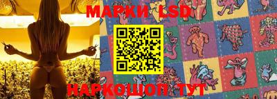 скорость Будённовск