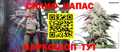 скорость Будённовск