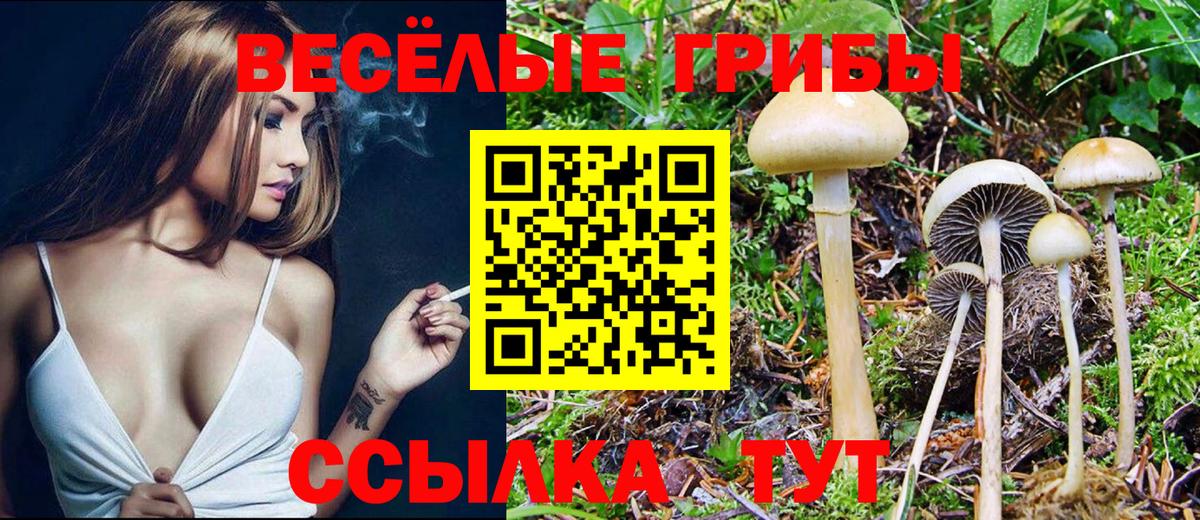 Великий Новгород  Галлюциногенные грибы GOLDEN TEACHER  цена наркотик  Вход с VPN 