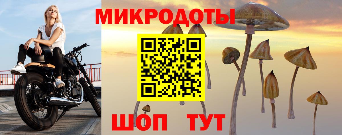Галлюциногенные грибы ЛСД Великий Новгород